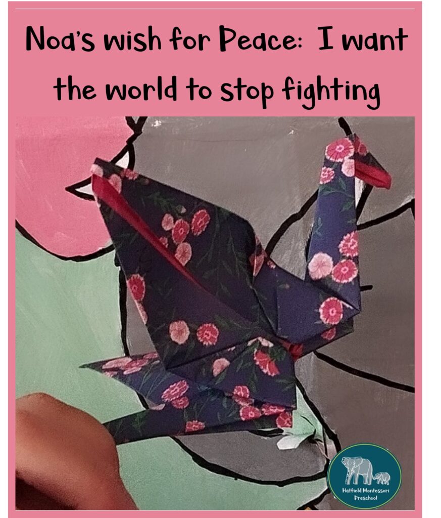 Hatfield Montessori Preschool